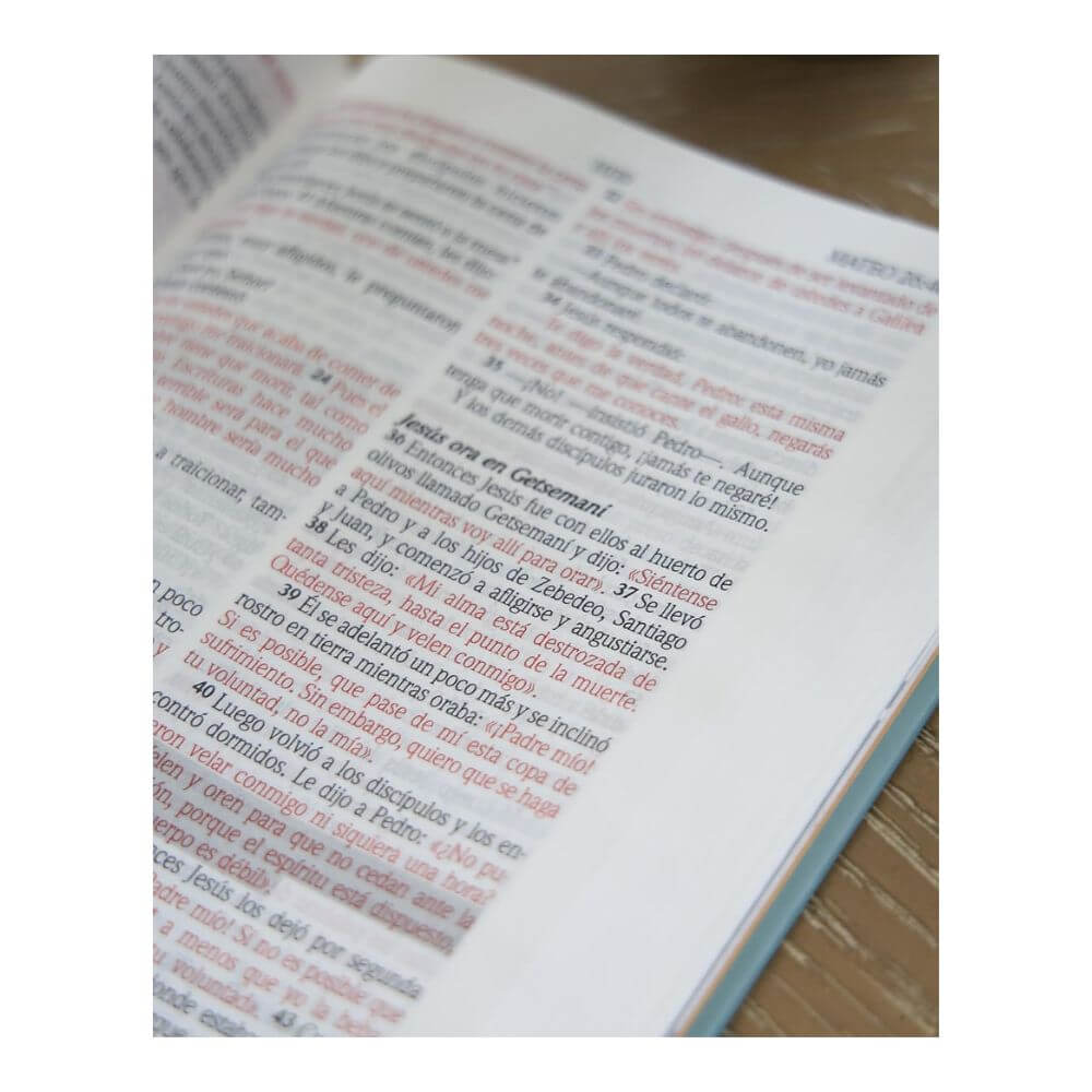 Biblia de Promesas Edición para Mujeres Jóvenes NTV - Imagen 9