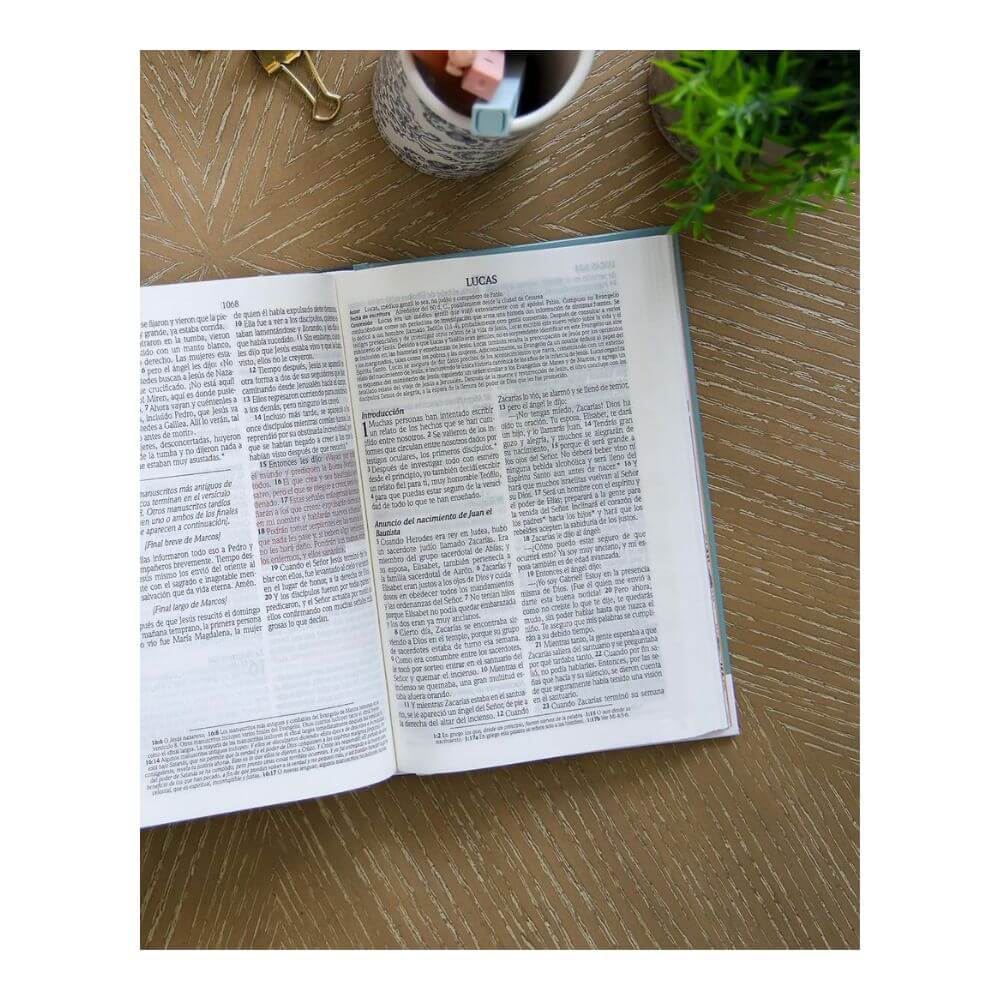 Biblia de Promesas Edición para Mujeres Jóvenes NTV - Imagen 8