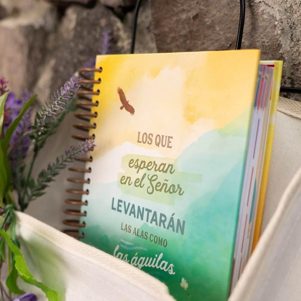 Agenda Pechi 2027 – Nuevas fuerzas - Imagen 6