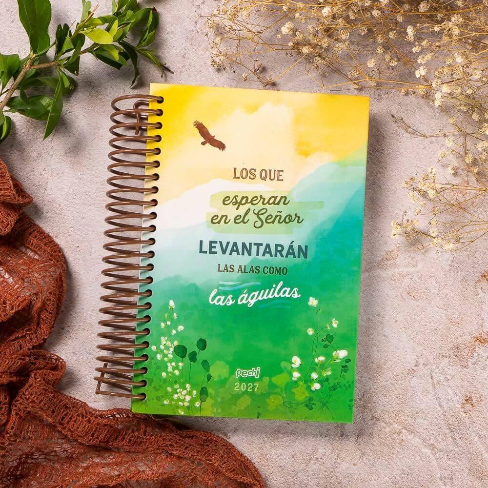 Agenda Pechi 2027 – Nuevas fuerzas - Imagen 5