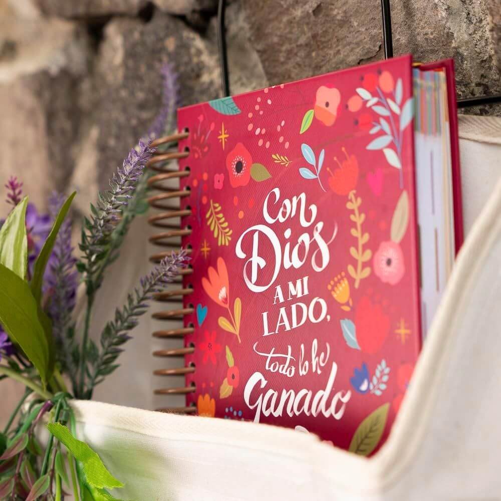 Agenda Pechi 2027 – Todo ganado - Imagen 4
