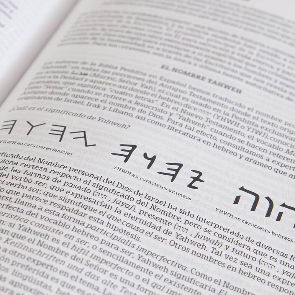 Biblia Peshitta. Símil piel, caoba duotono - Imagen 10