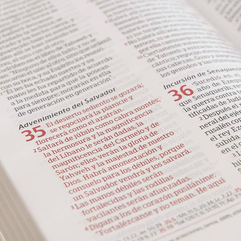 Biblia Peshitta. Símil piel, caoba duotono - Imagen 8