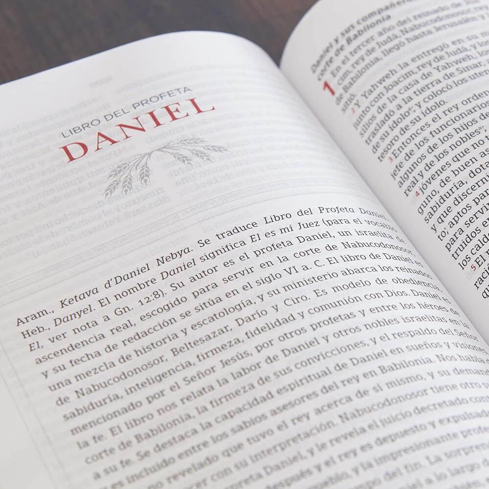 Biblia Peshitta. Símil piel, caoba duotono - Imagen 7