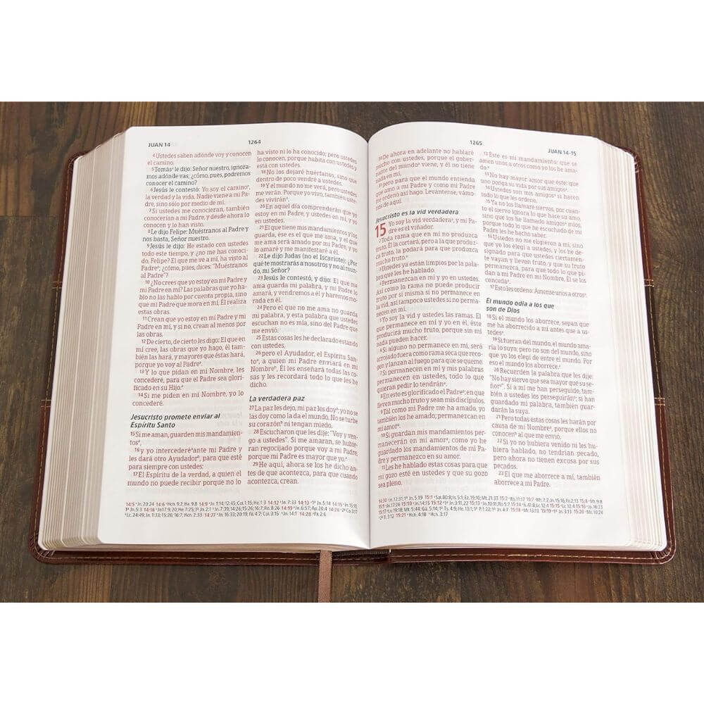 Biblia Peshitta. Símil piel, caoba duotono - Imagen 9