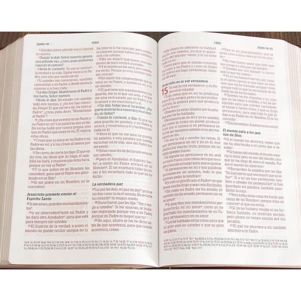 Biblia Peshitta Tapa Dura - Imagen 4
