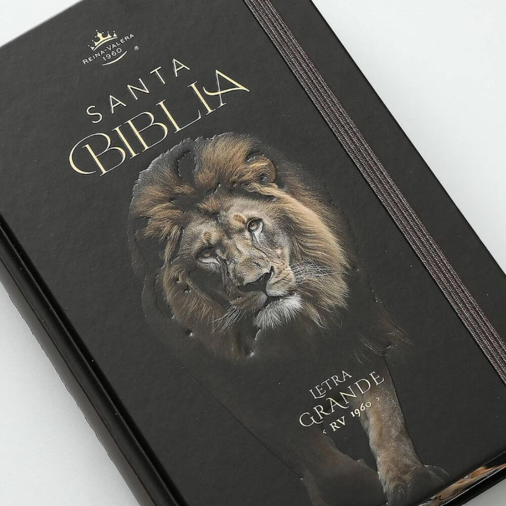 Biblia RVR1960 León de Judá Canto Pintado Tapa Dura C/Elástico Letra Grande - Imagen 8