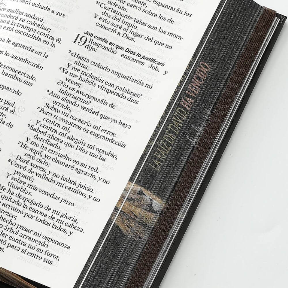 Biblia RVR1960 León de Judá Canto Pintado Tapa Dura C/Elástico Letra Grande - Imagen 10