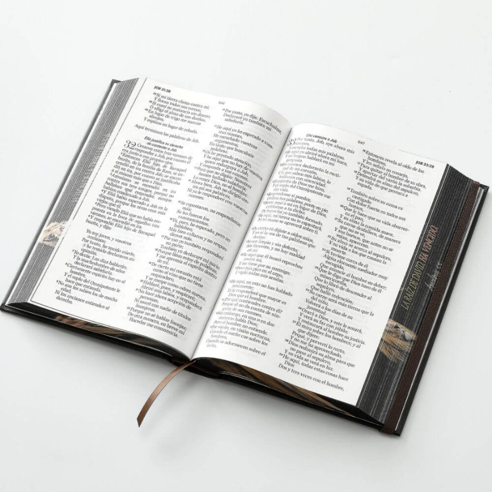 Biblia RVR1960 León de Judá Canto Pintado Tapa Dura C/Elástico Letra Grande - Imagen 4