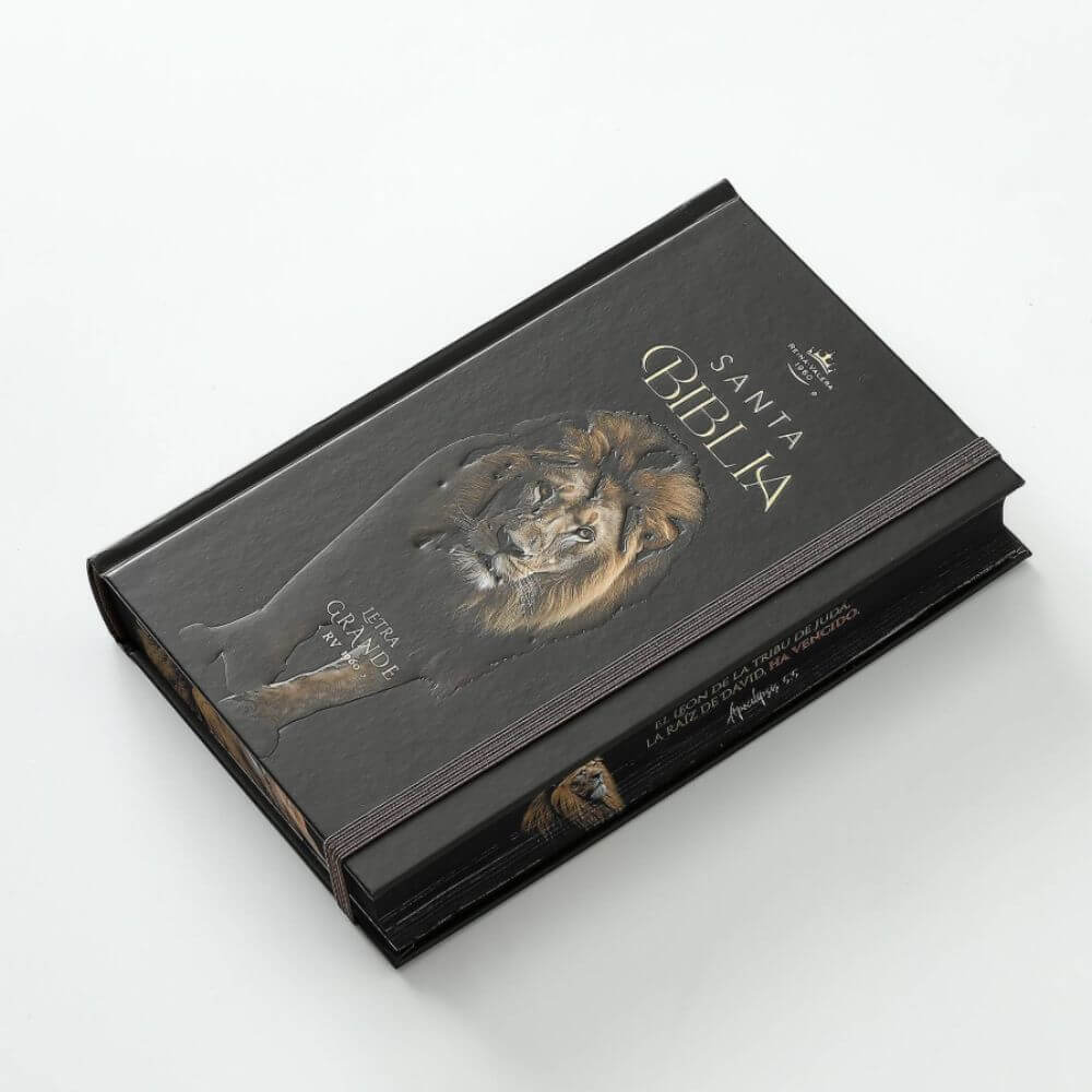 Biblia RVR1960 León de Judá Canto Pintado Tapa Dura C/Elástico Letra Grande - Imagen 6