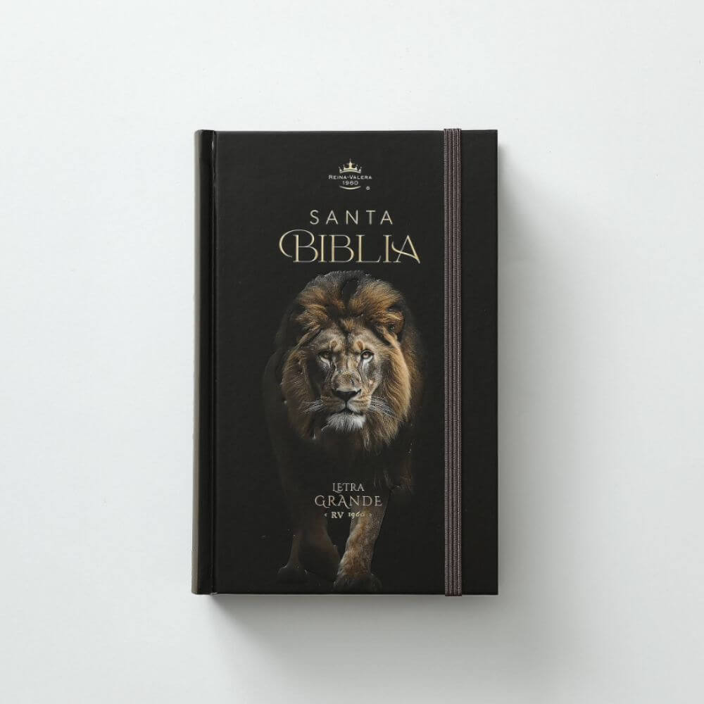 Biblia RVR1960 León de Judá Canto Pintado Tapa Dura C/Elástico Letra Grande - Imagen 5