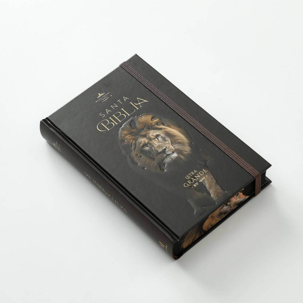 Biblia RVR1960 León de Judá Canto Pintado Tapa Dura C/Elástico Letra Grande - Imagen 7